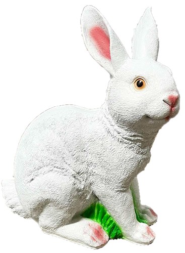 Królik biały
