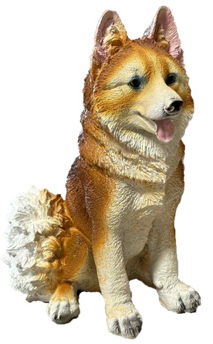 A Husky siedzący rudy