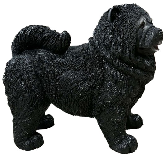 Pies chow chow czarny