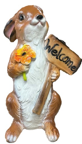 Zając Welcome