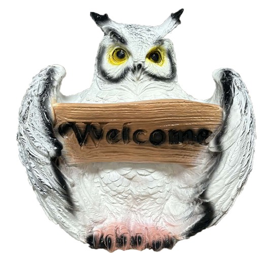 Sowa biała Welcome