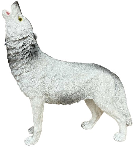 Wilk biały