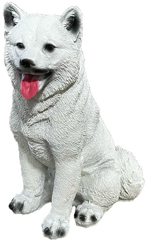 Pies husky mały biały
