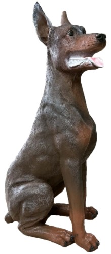 Pies doberman brązowy