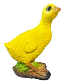 Gęś pisklę żółta
