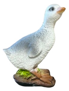 Gęś pisklę biało-szara