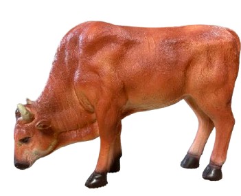 Krowa pasąca się ruda (brązowo-czerwona)
